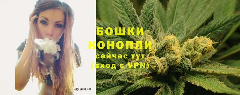 Конопля THC 21%  Александровск-Сахалинский 